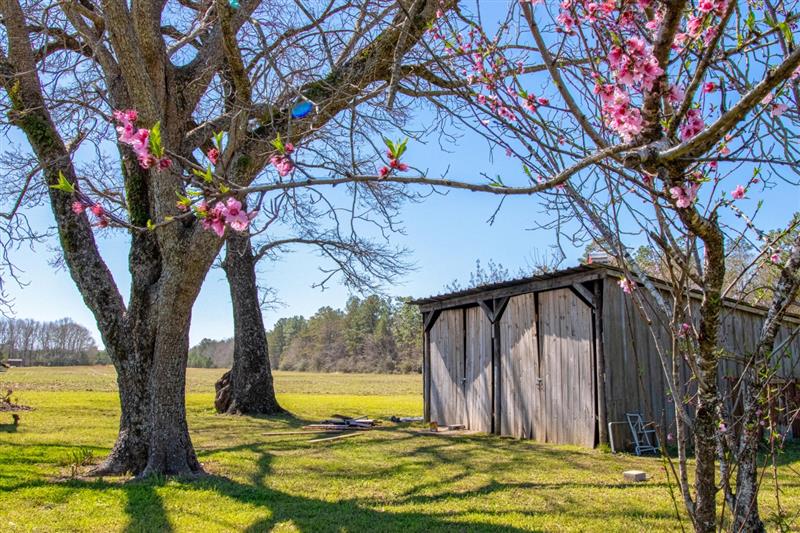 Blooming trees beside a barn on a rural Crestview property